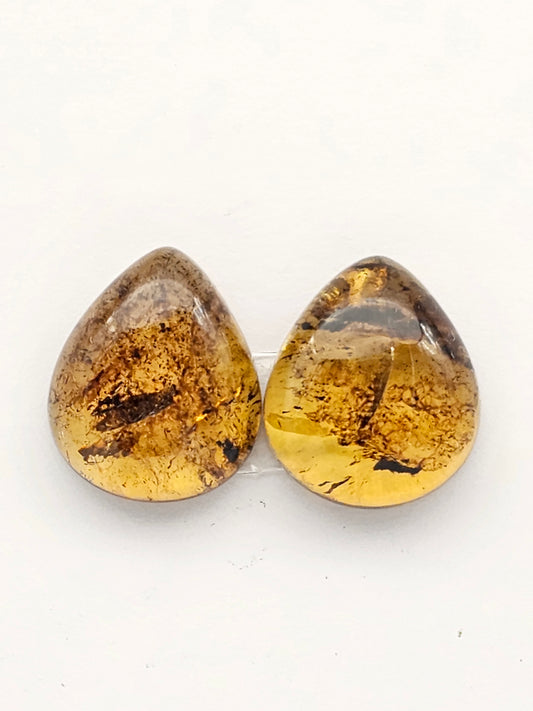 Amber authentic cabochon pair large