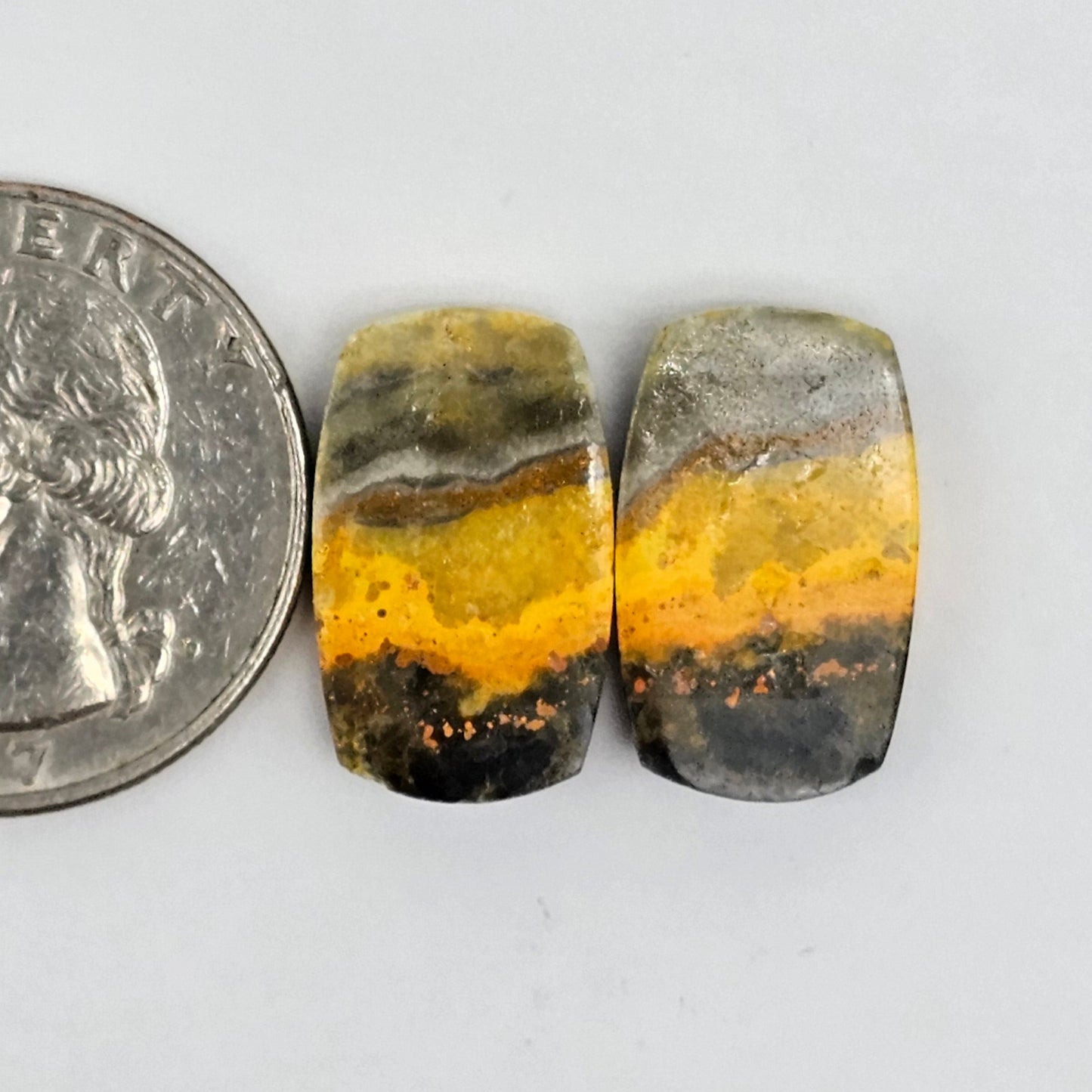 Bumblebee Jasper Cabochon Pair