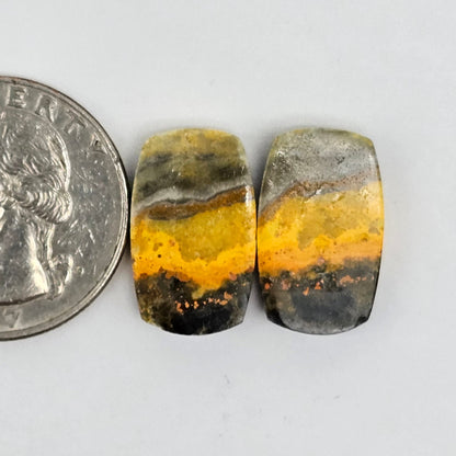 Bumblebee Jasper Cabochon Pair