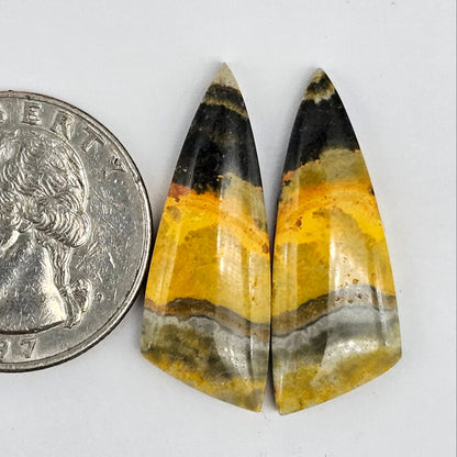 Bumblebee Jasper Cabochon Pair