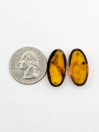 Amber authentic cabochon pair large