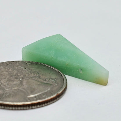 Chrysoprase Long Triangle Cabochon