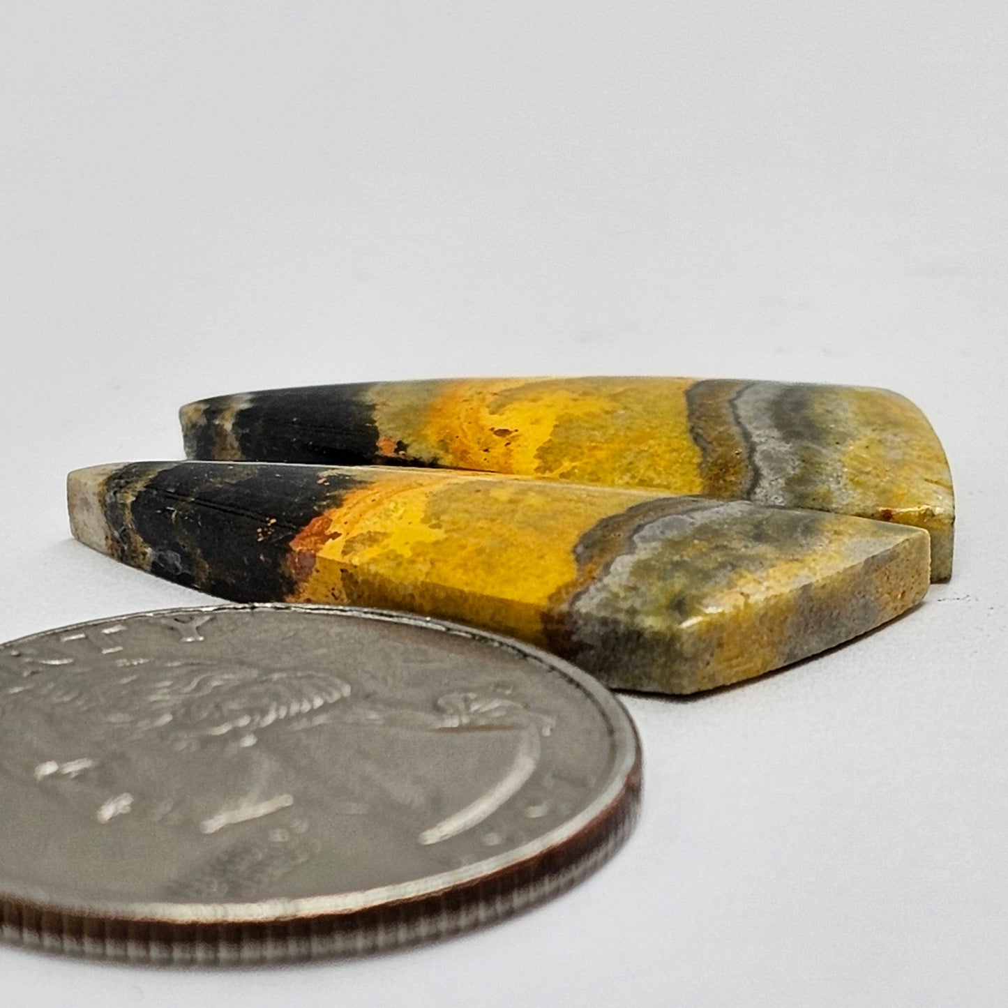Bumblebee Jasper Cabochon Pair