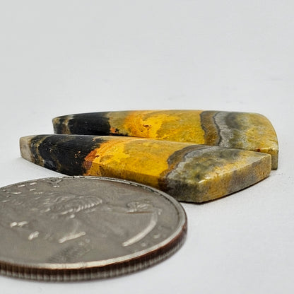 Bumblebee Jasper Cabochon Pair