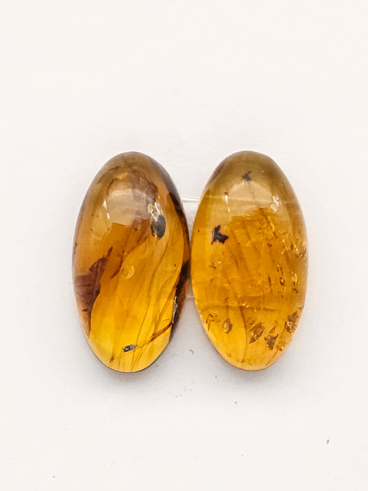 Amber authentic cabochon pair large