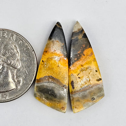 Bumblebee Jasper Cabochon Pair