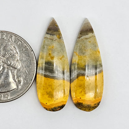 Bumblebee Jasper Cabochon Pair