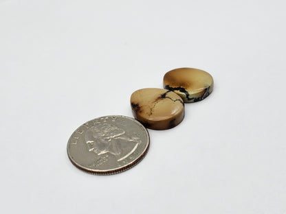 Cloud mountain Turquoise Set