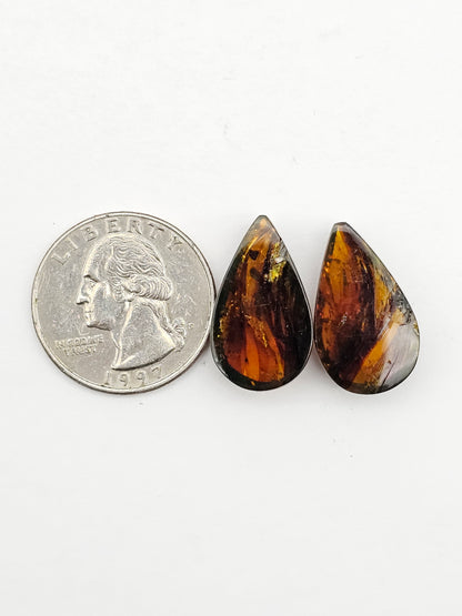 Amber authentic cabochon pair large
