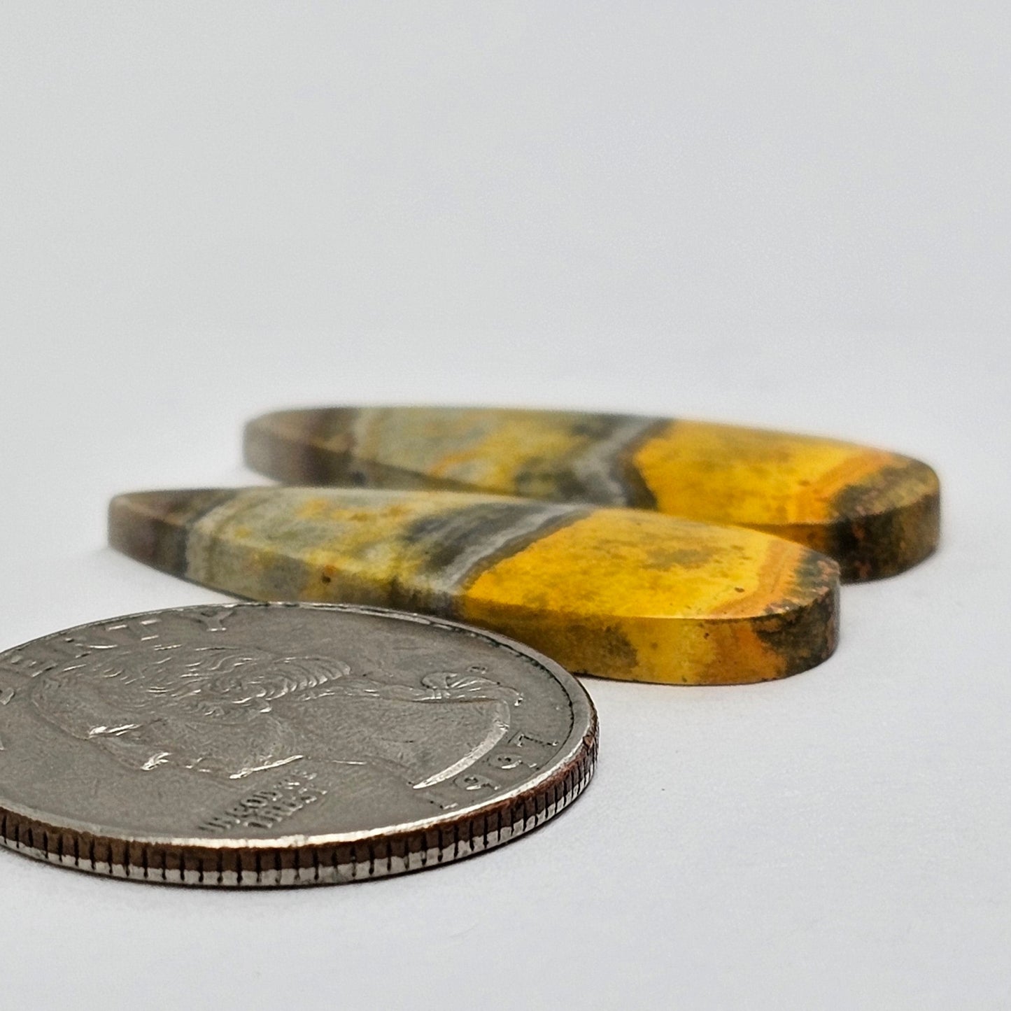 Bumblebee Jasper Cabochon Pair