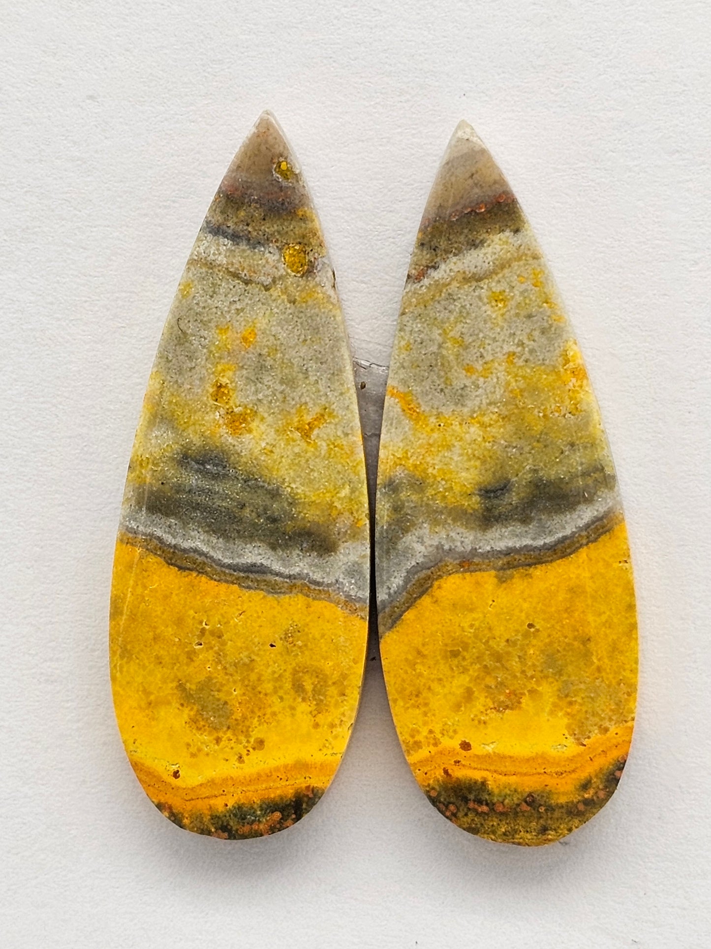 Bumblebee Jasper Cabochon Pair