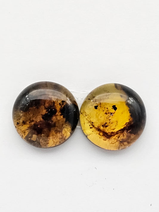 Amber authentic cabochon pair large