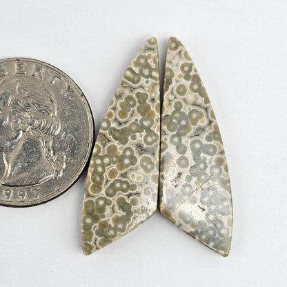 River Jasper Cabochon Pair