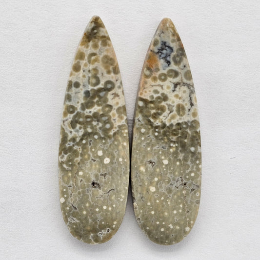 River Jasper Cabochon Pair