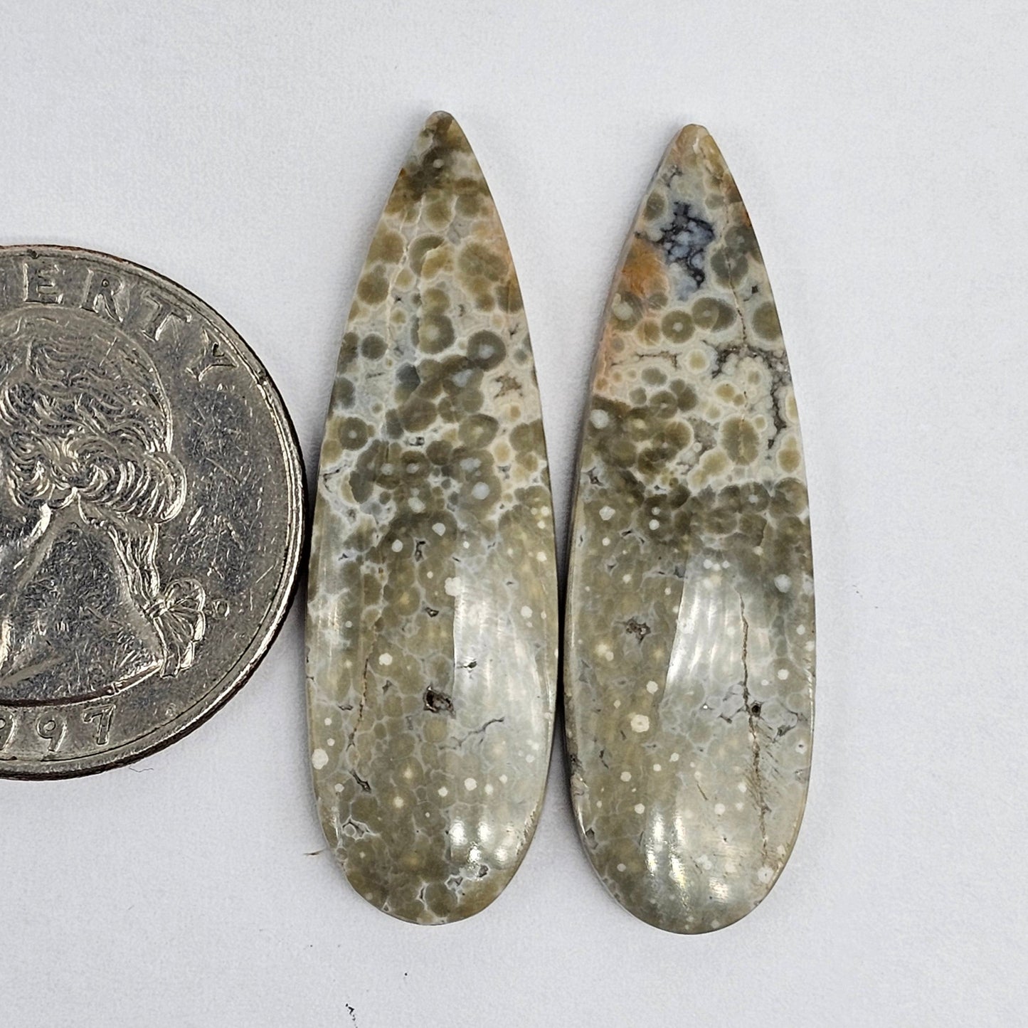 River Jasper Cabochon Pair