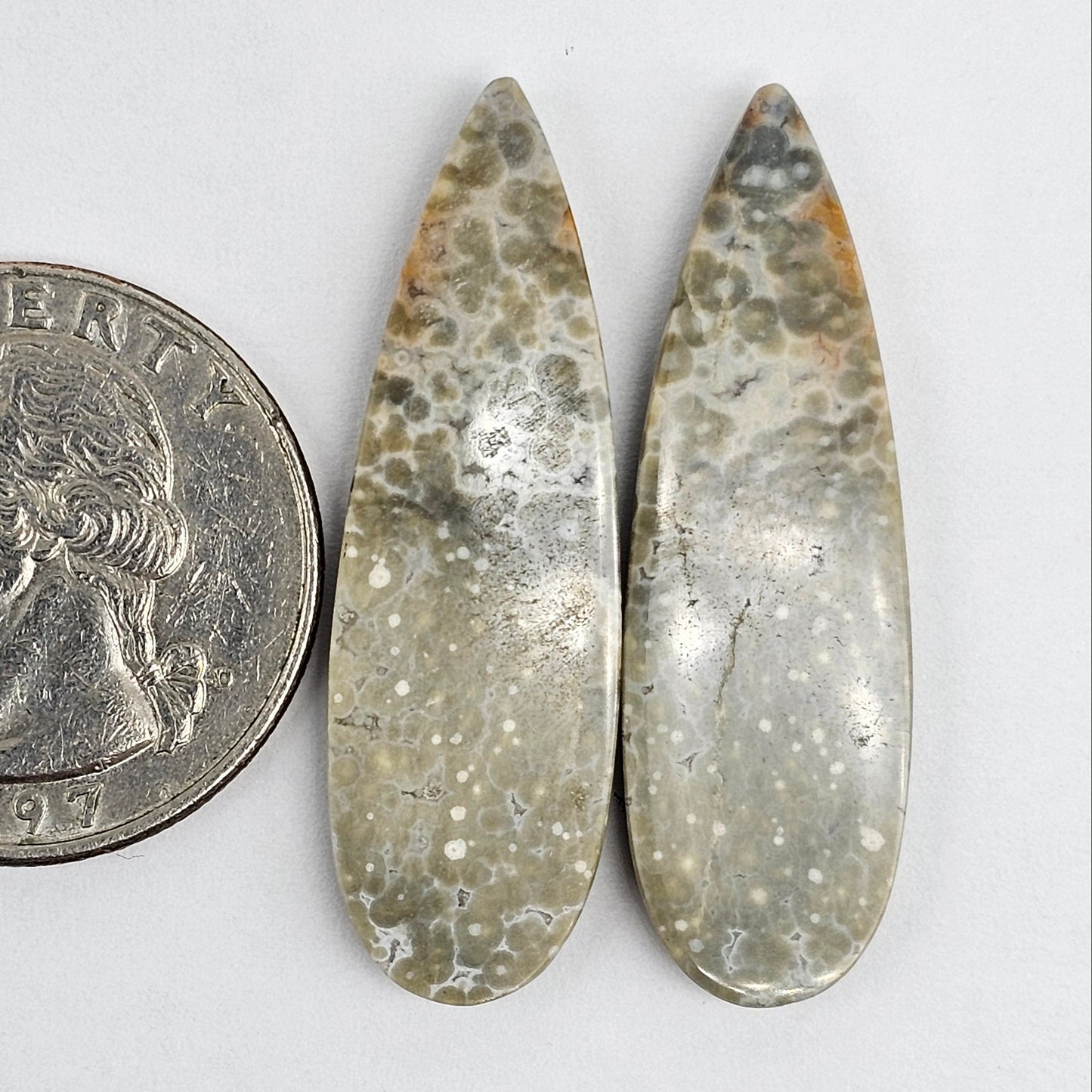 River Jasper Cabochon Pair