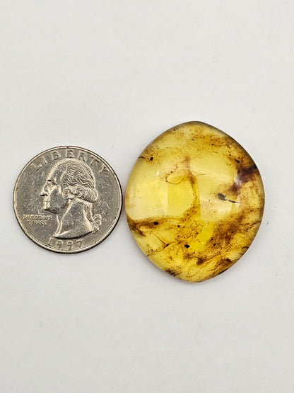 Amber authentic cabochon large