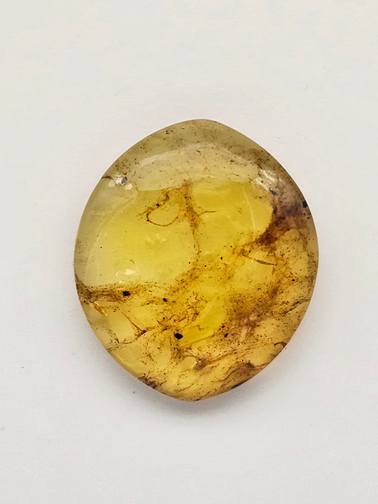 Amber authentic cabochon large