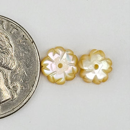 Mother of Pearl Flower Cabochon Pair