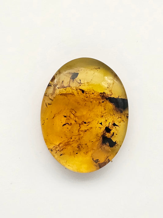 Amber authentic cabochon large