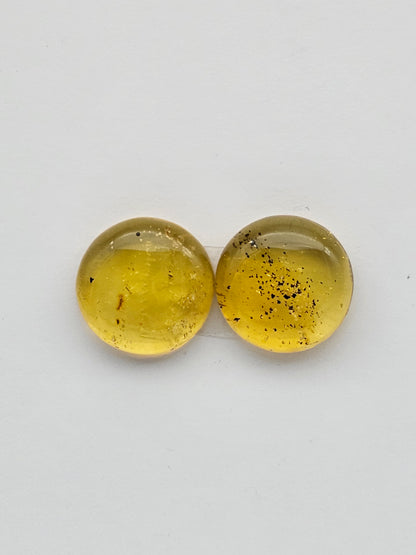 Amber authentic cabochon pair large