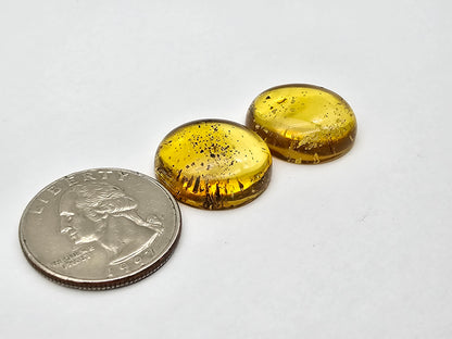 Amber authentic cabochon pair large