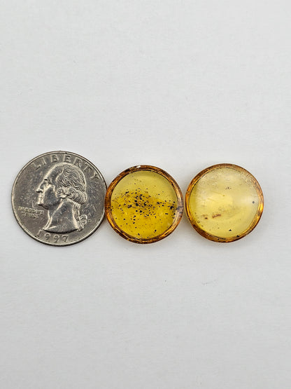 Amber authentic cabochon pair large