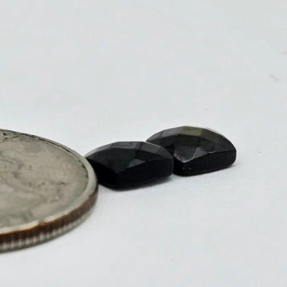 Mother of Pearl Flower Cabochon Pair