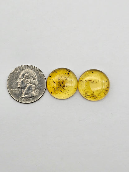 Amber authentic cabochon pair large