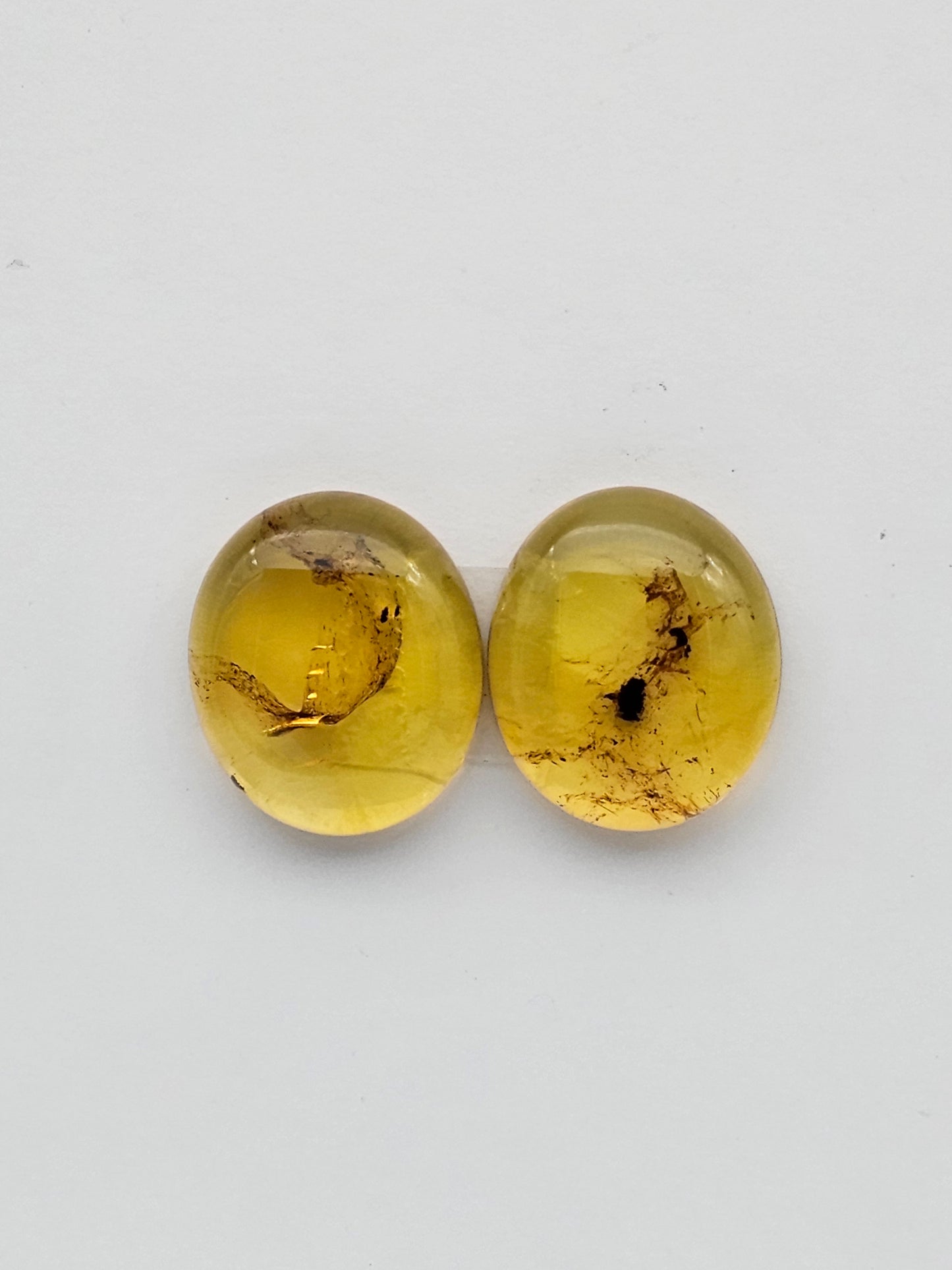 Amber authentic cabochon pair large
