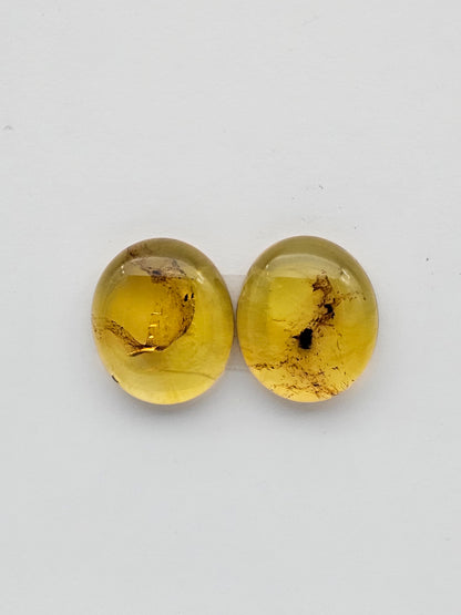 Amber authentic cabochon pair large