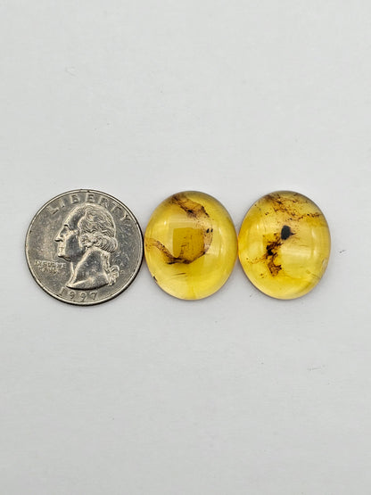 Amber authentic cabochon pair large