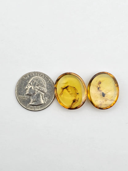 Amber authentic cabochon pair large