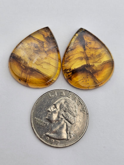 Amber authentic cabochon pair large