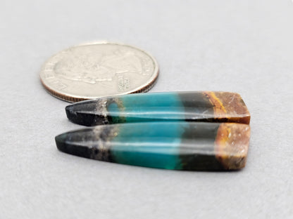 Blue opalized petrified wood Cabochon Pair