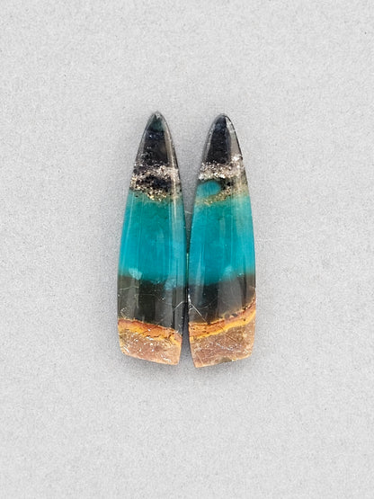 Blue opalized petrified wood Cabochon Pair
