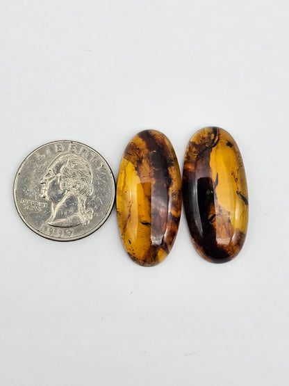 Amber authentic cabochon pair large