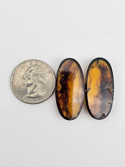 Amber authentic cabochon pair large