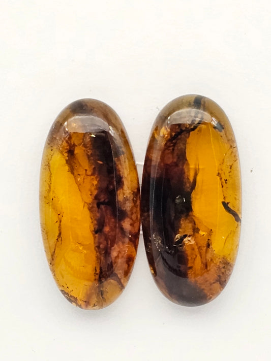 Amber authentic cabochon pair large
