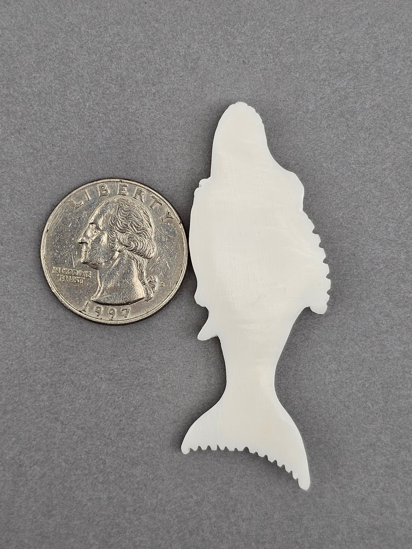 Whale Bone Carving Cabochon