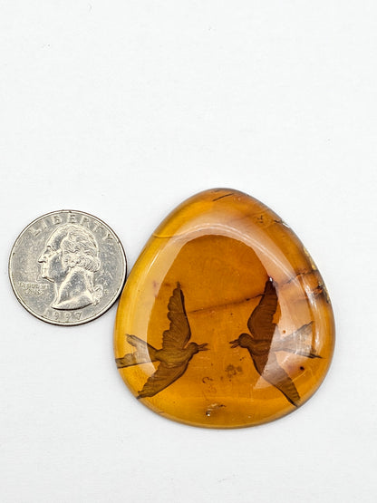 Amber authentic intaglio cabochon large