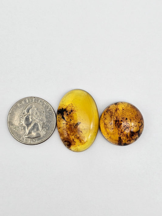 Amber authentic cabochon set large