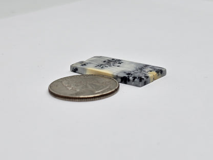 Maligano Jasper Cabochon Pair