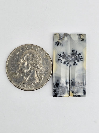 Maligano Jasper Cabochon Pair