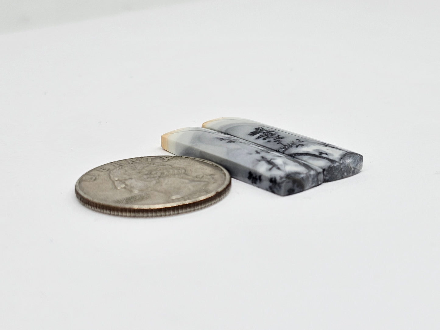 Maligano Jasper Cabochon Pair