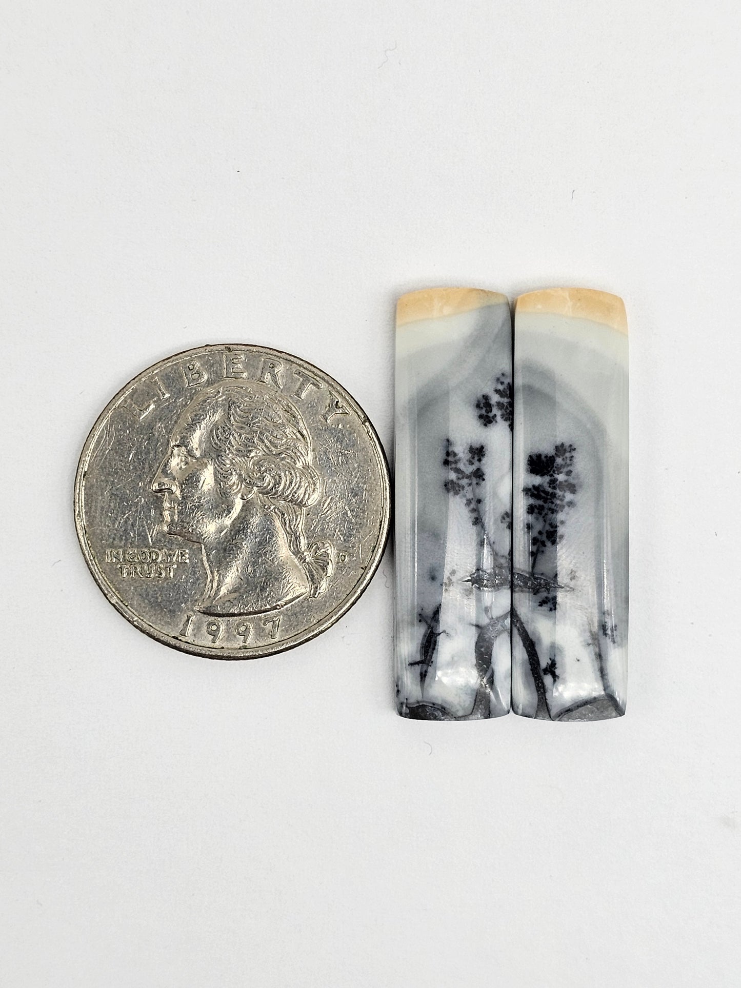 Maligano Jasper Cabochon Pair