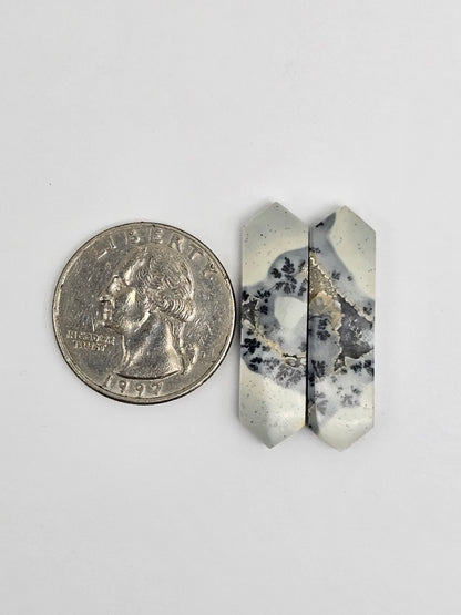 Maligano Jasper Cabochon Pair