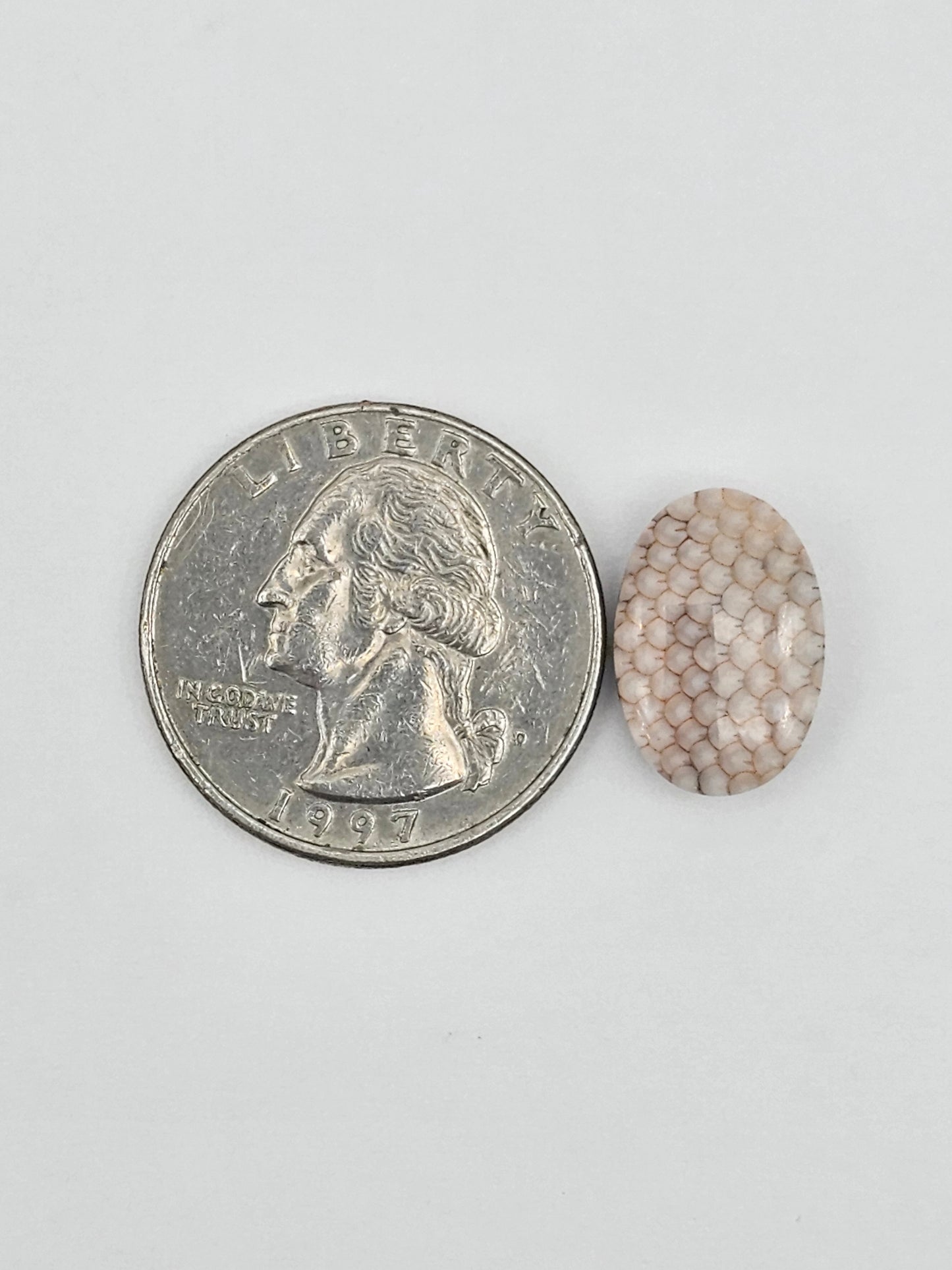 Snake agate cabochon large