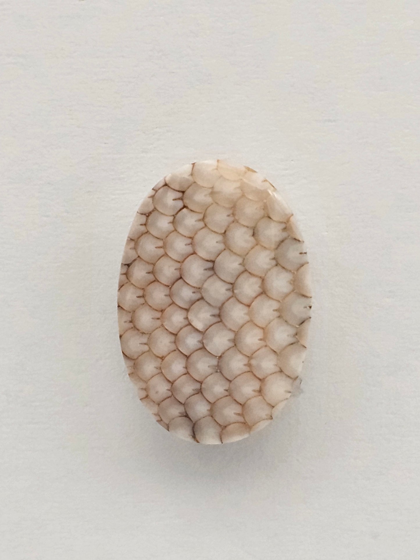 Snake agate cabochon large