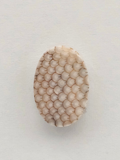 Snake agate cabochon large